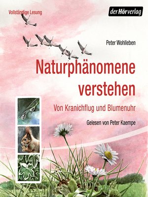 cover image of Naturphänomene verstehen